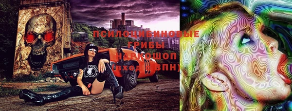 прущие крисы Абинск