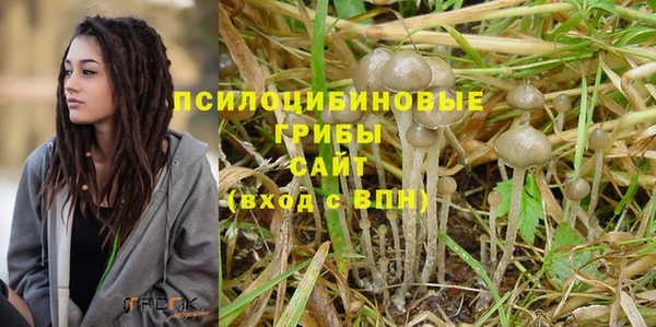 сатива Абдулино