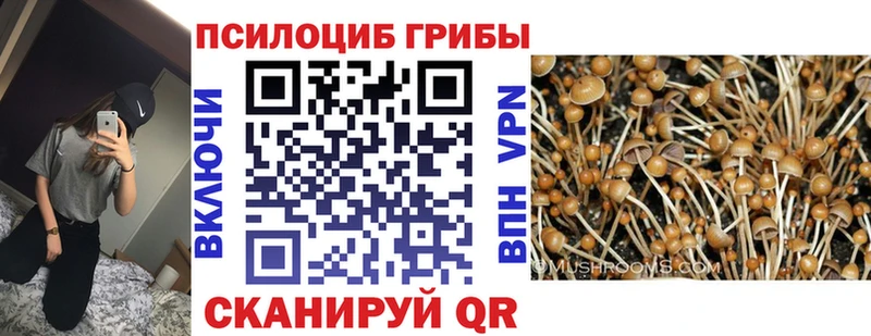 где можно купить   Агидель  ссылка на мегу онион  Псилоцибиновые грибы Psilocybe 